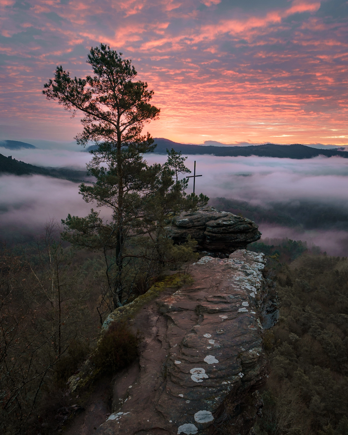 Naturfotografie von Rebecca Bohley