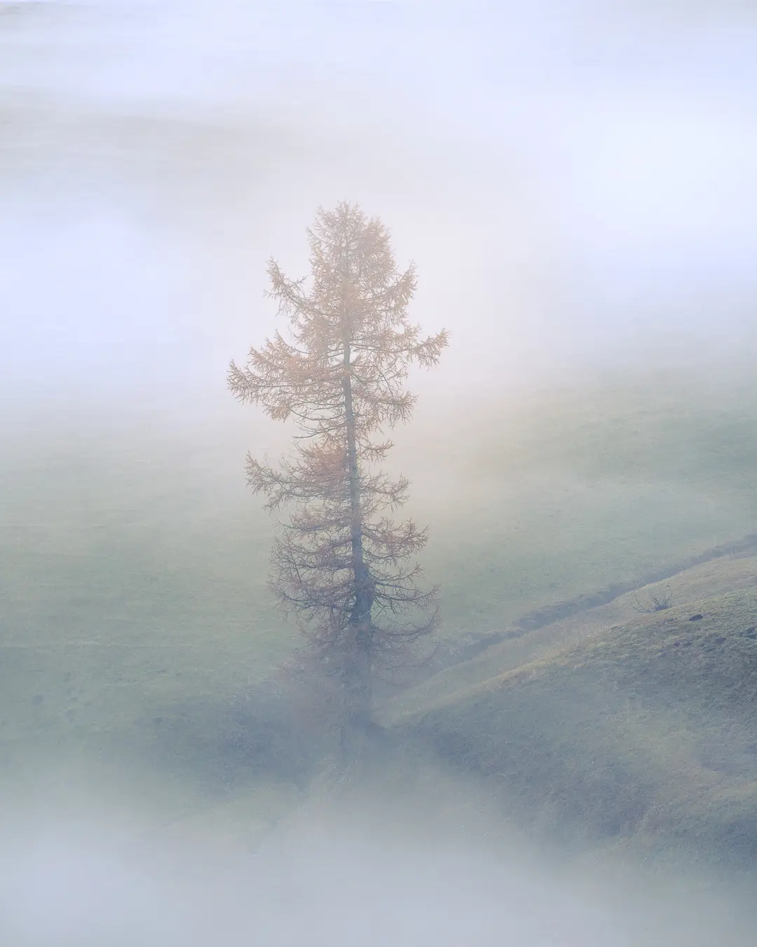 DJI Bearbeitet Fotografie von Rebecca Bohley